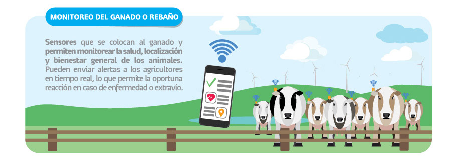 Track Jack GPS